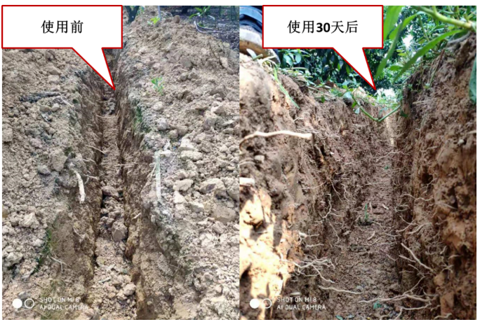 “土壤板结克星”：土壤调理剂你了解多少？
