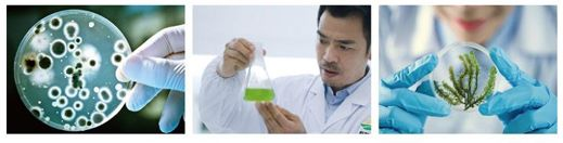 成都3003新葡的京集团作物科学股份有限公司