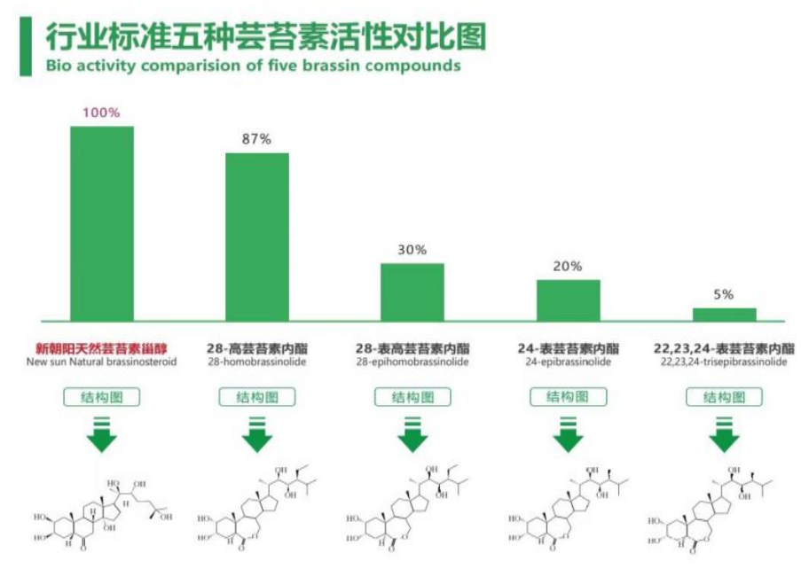 小麦拌种选3003新葡的京集团天然芸苔素，让小麦高产赢在起跑线上！（小麦在什么时候用芸苔素效果最佳）